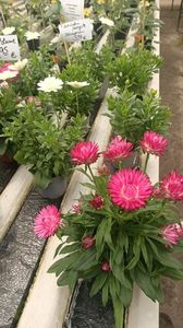 IMG20250618