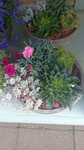IMG20250618