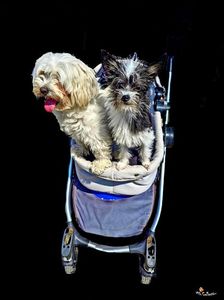 Friendship