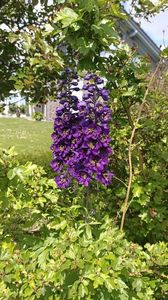 IMG20250619