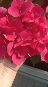 IMG20250617