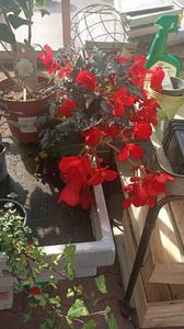 IMG20250617