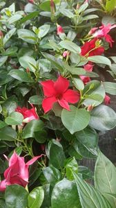 IMG20250617