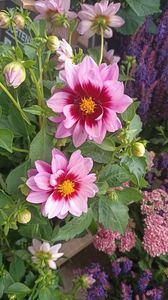 IMG20250616