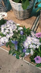 IMG20250616