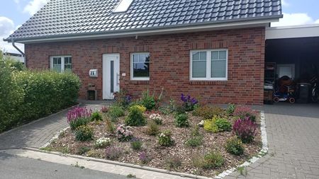 IMG20250619