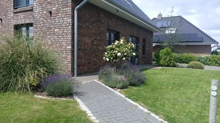 IMG20250619