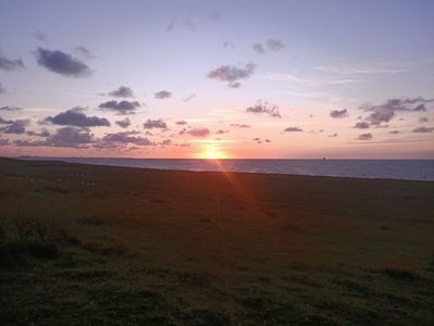 IMG20250618