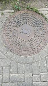 IMG20250617