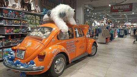 IMG20250617