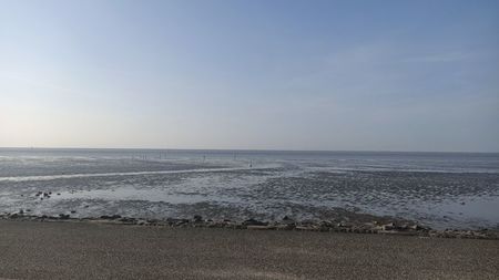 IMG20250613