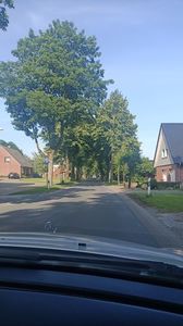 IMG20250613