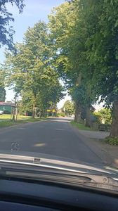 IMG20250613