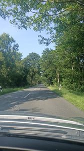 IMG20250613