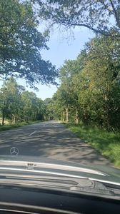 IMG20250613
