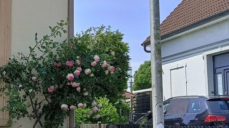 IMG20250613