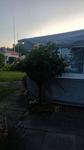 IMG20250612
