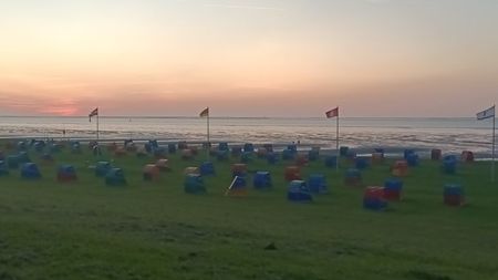 IMG20250612