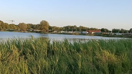 IMG20250611