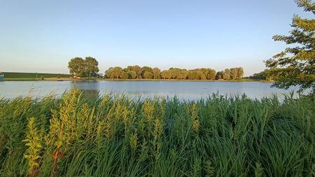 IMG20250611