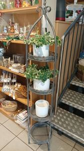 IMG20250611