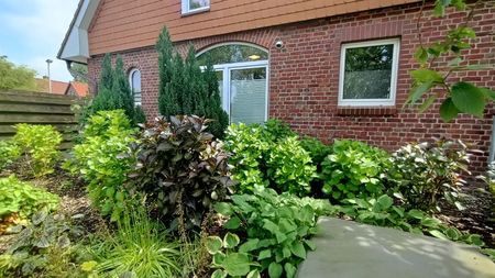 IMG20250611