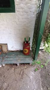 IMG20250611