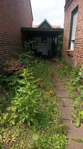 IMG20250611
