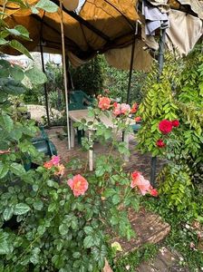 IMG-20250620-WA0144