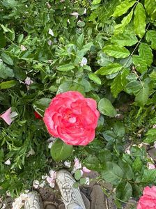 IMG-20250620-WA0147