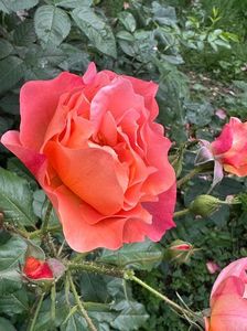 IMG-20250620-WA0153