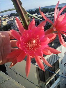 Photo0011