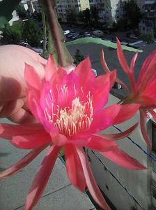 Photo0012