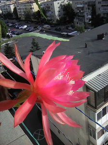Photo0013