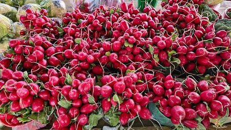Radishes