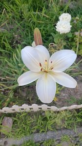 IMG20250621