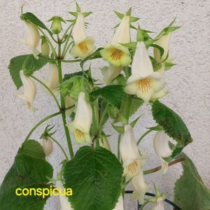 IMG-2025.06.23