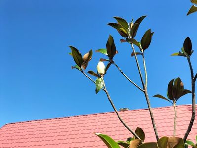IMG20250703104749