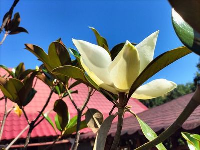 IMG20250703104739