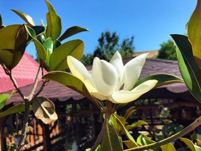 IMG20250703104731