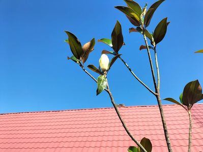 IMG20250703104657
