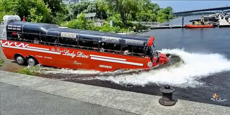 Amphibus