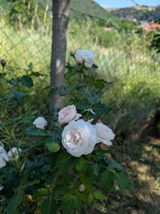 PXL_20250621_080949379