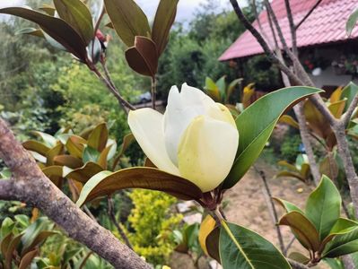 IMG20250710180632