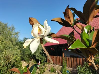 IMG20250627080528
