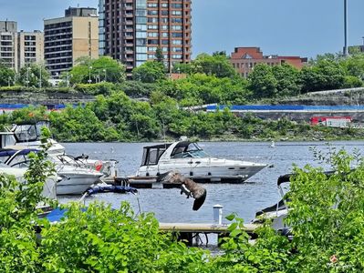 OTTAWA-Gatineau Marina