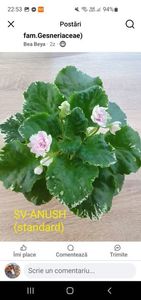 ScreenshSV-Anushot_20250717_225332_Facebook