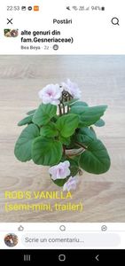 Rob's Vanilla Screenshot_20250717_225313_Facebook