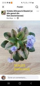 ScalesScreenshot_20250717_225306_Facebook