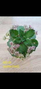 NO IDScreenshot_20250715_133214_Gallery